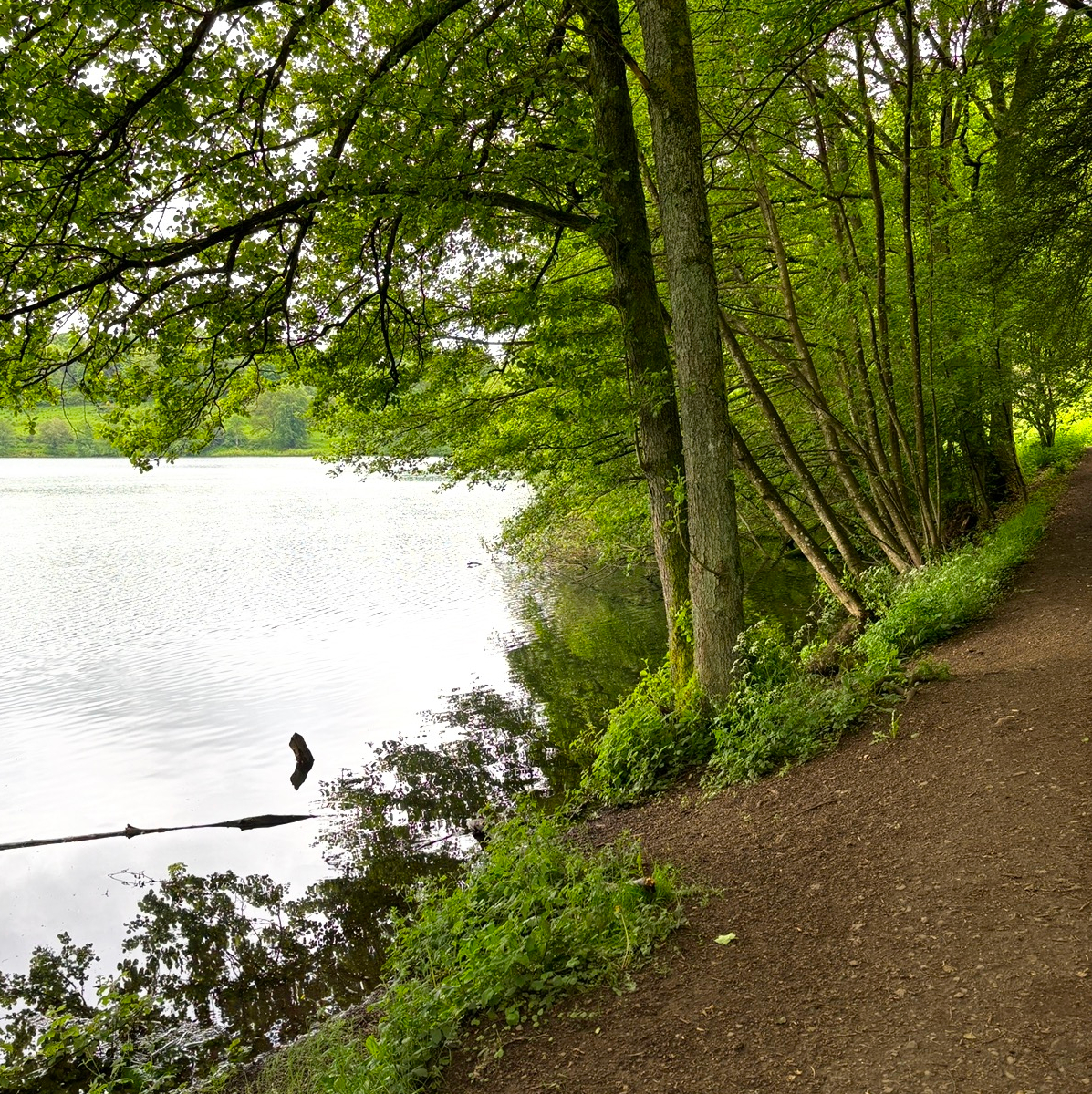 Maarrundweg am Weinfelder Maar